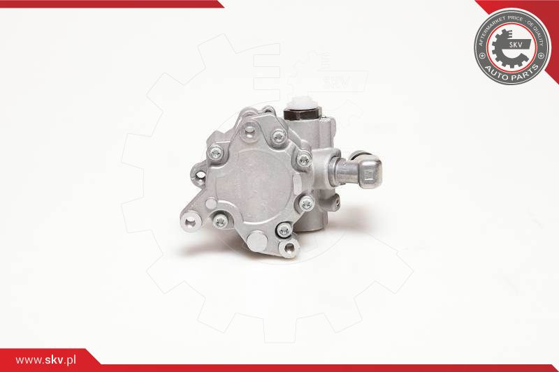 ESEN SKV Hydraulikpumpe, Lenkung