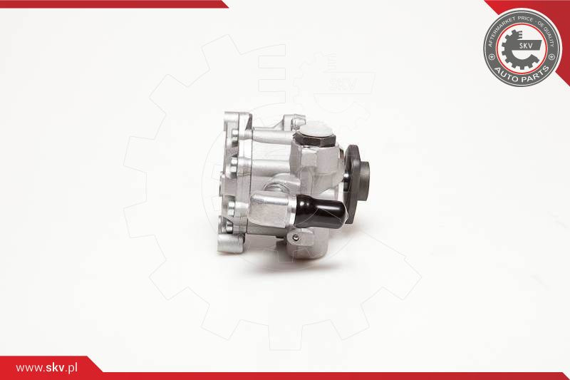 ESEN SKV Hydraulikpumpe, Lenkung