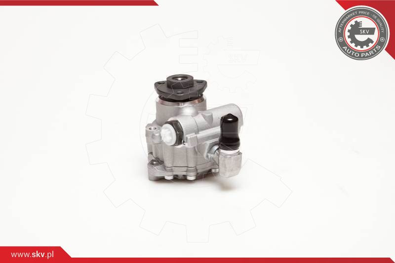 ESEN SKV Hydraulikpumpe, Lenkung