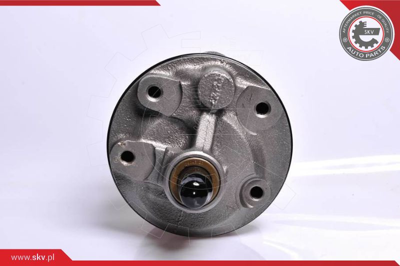 ESEN SKV Hydraulikpumpe, Lenkung