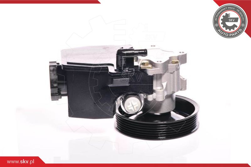 ESEN SKV Hydraulikpumpe, Lenkung