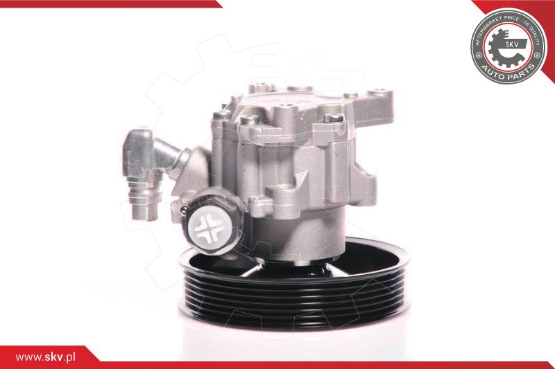 ESEN SKV Hydraulikpumpe, Lenkung