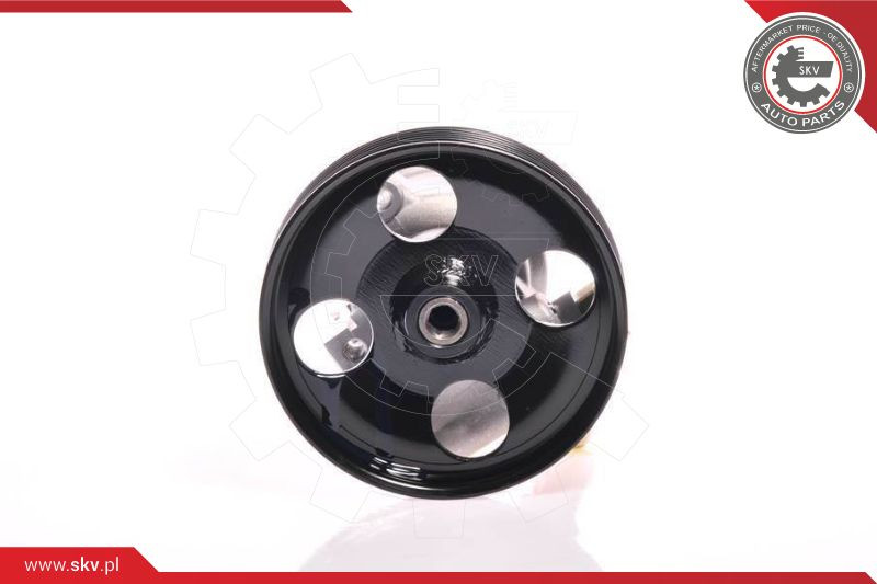 ESEN SKV Hydraulikpumpe, Lenkung