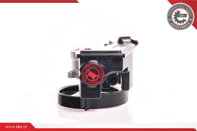 ESEN SKV Hydraulikpumpe, Lenkung