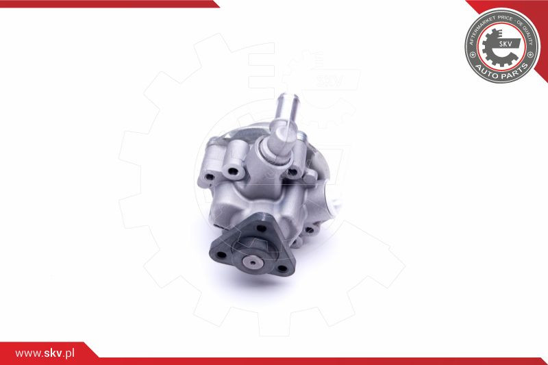 ESEN SKV Hydraulikpumpe, Lenkung