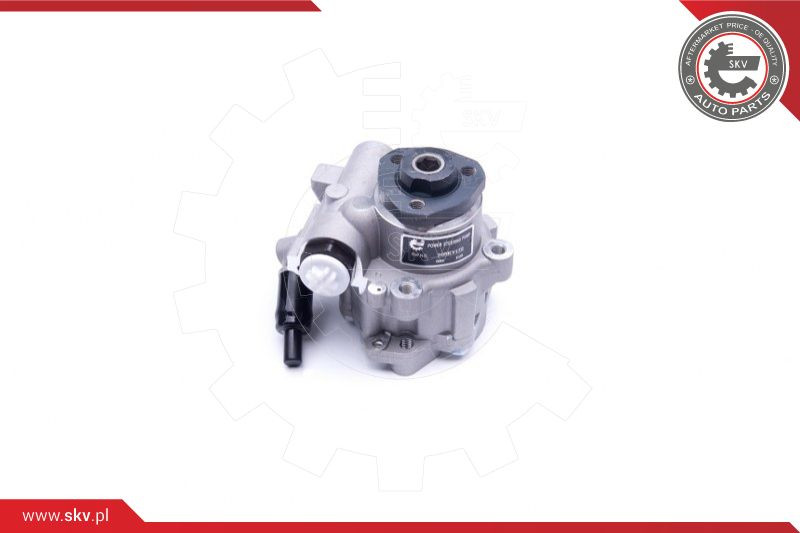 ESEN SKV Hydraulikpumpe, Lenkung