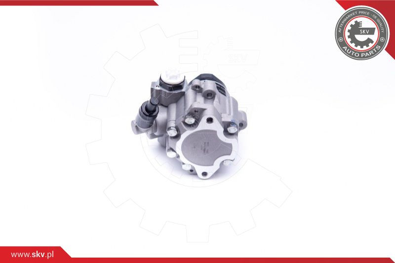 ESEN SKV Hydraulikpumpe, Lenkung