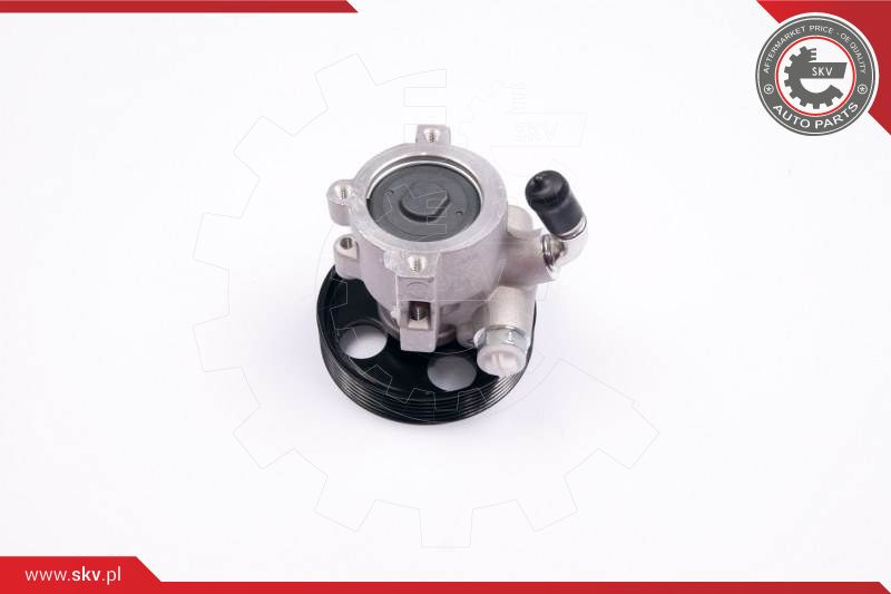 ESEN SKV Hydraulikpumpe, Lenkung