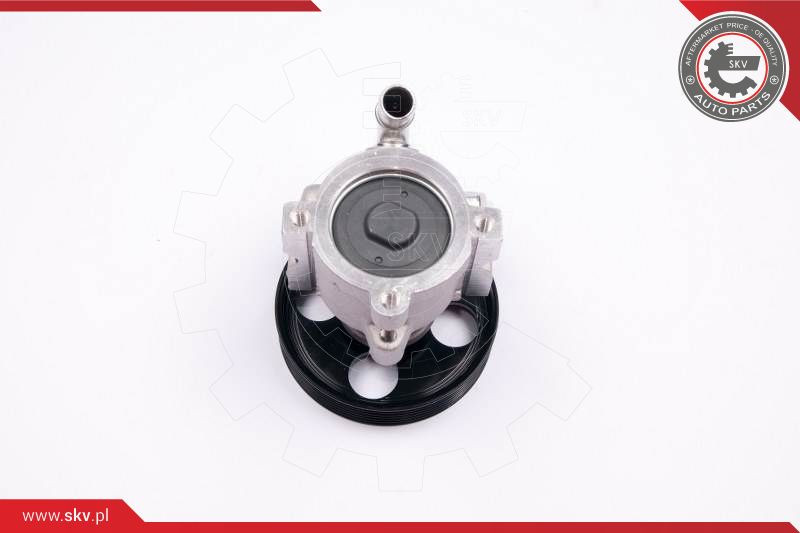 ESEN SKV Hydraulikpumpe, Lenkung