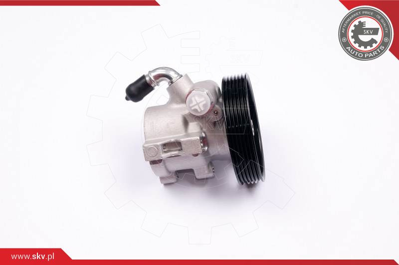 ESEN SKV Hydraulikpumpe, Lenkung