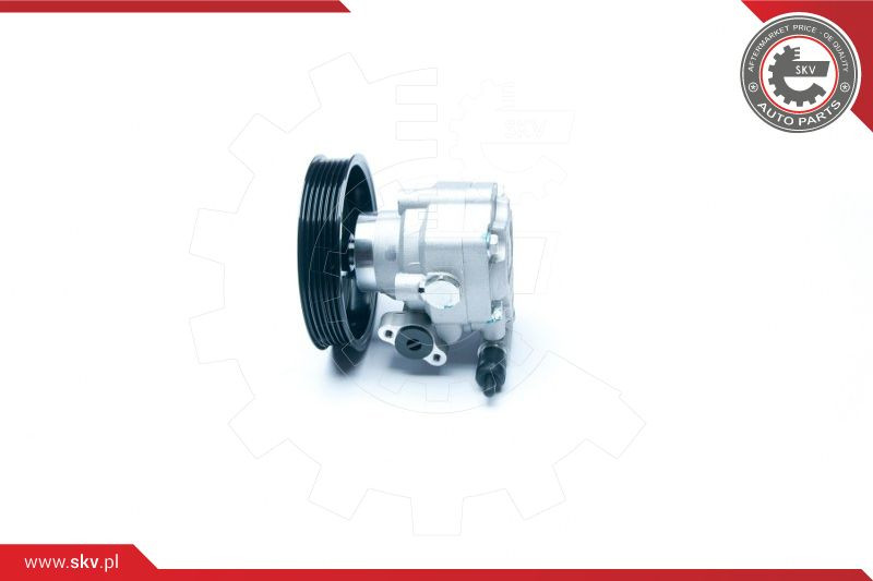 ESEN SKV Hydraulikpumpe, Lenkung