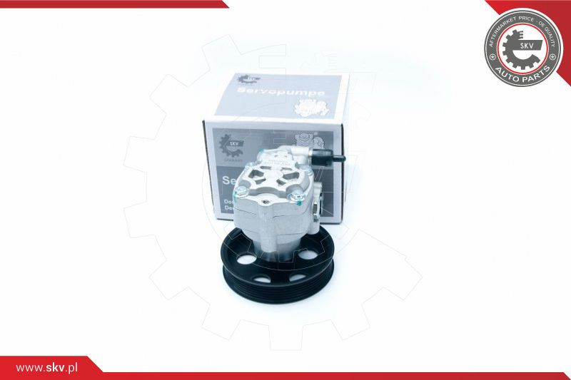 ESEN SKV Hydraulikpumpe, Lenkung