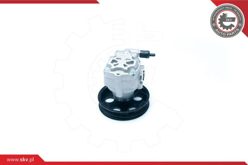 ESEN SKV Hydraulikpumpe, Lenkung