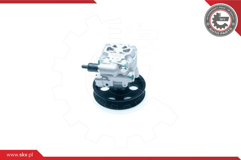 ESEN SKV Hydraulikpumpe, Lenkung