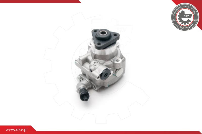 ESEN SKV Hydraulikpumpe, Lenkung