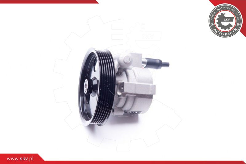 ESEN SKV Hydraulikpumpe, Lenkung