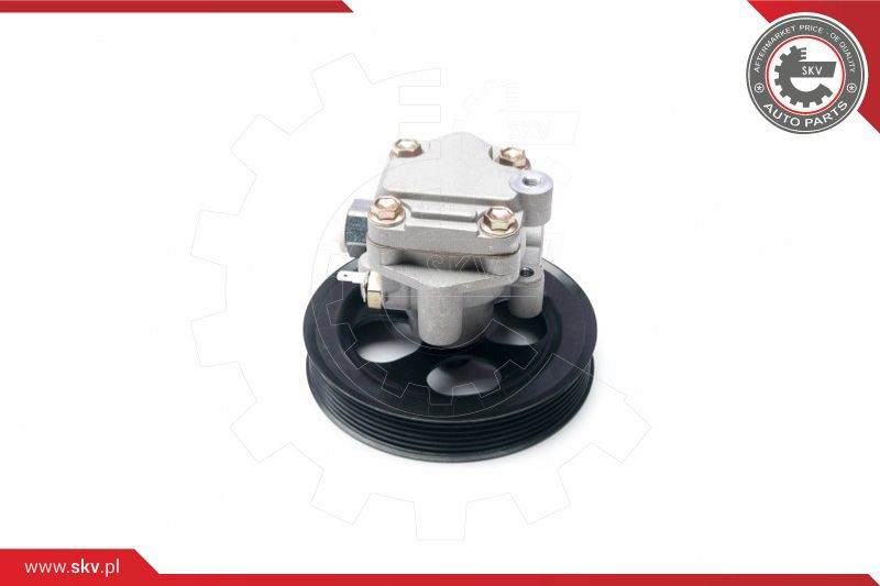 ESEN SKV Hydraulikpumpe, Lenkung