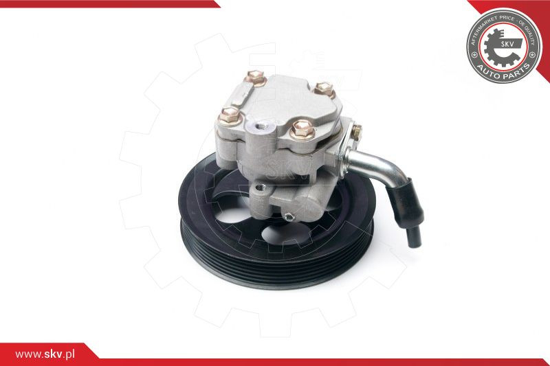 ESEN SKV Hydraulikpumpe, Lenkung