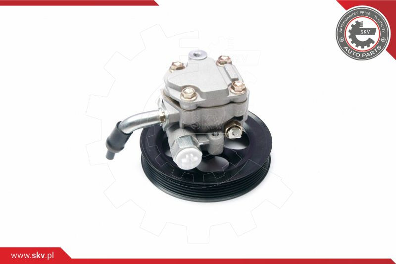 ESEN SKV Hydraulikpumpe, Lenkung