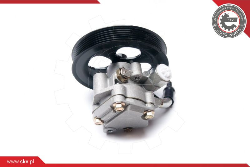 ESEN SKV Hydraulikpumpe, Lenkung