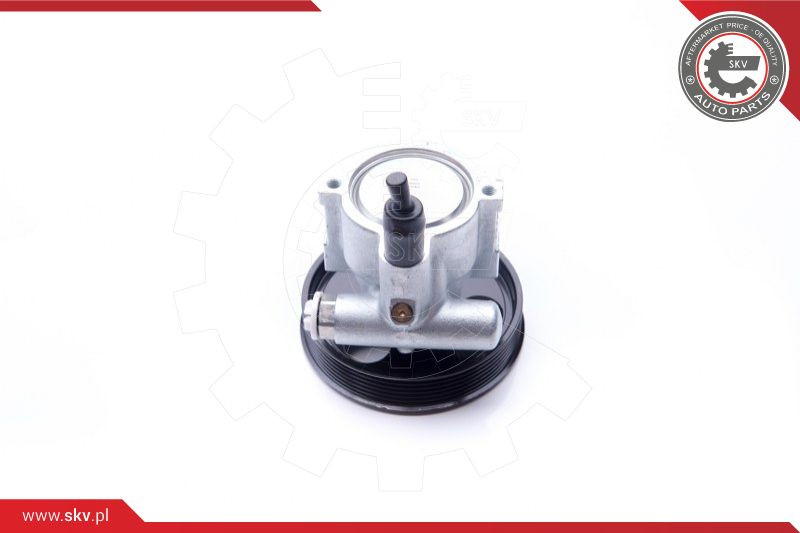 ESEN SKV Hydraulikpumpe, Lenkung