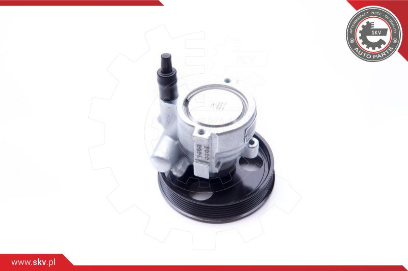 ESEN SKV Hydraulikpumpe, Lenkung