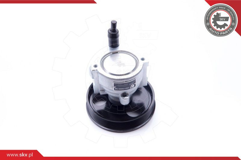 ESEN SKV Hydraulikpumpe, Lenkung