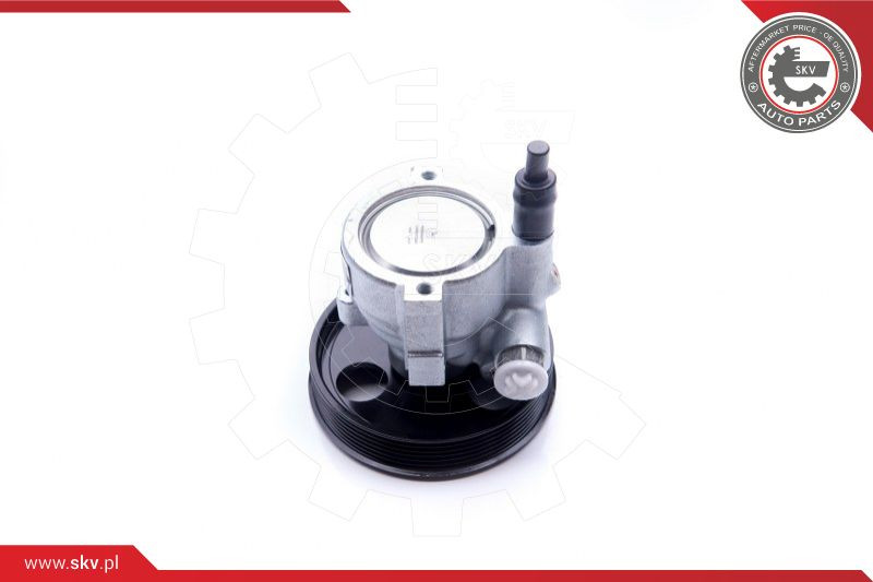 ESEN SKV Hydraulikpumpe, Lenkung