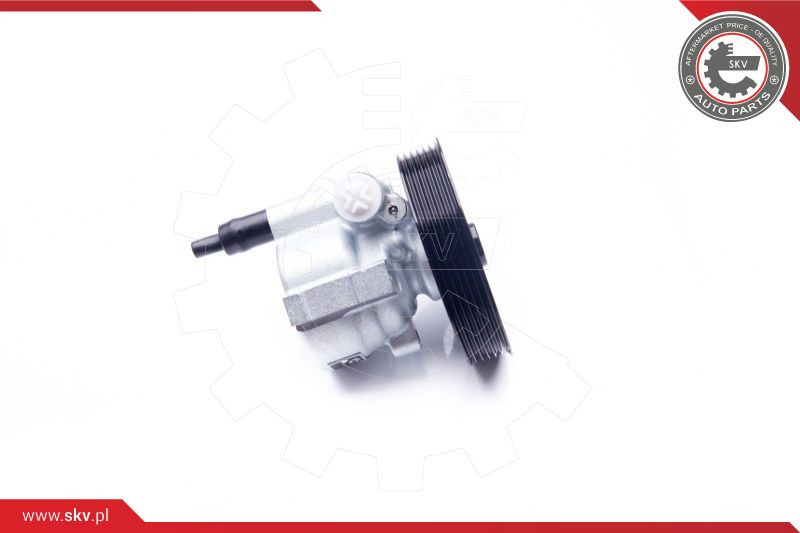 ESEN SKV Hydraulikpumpe, Lenkung