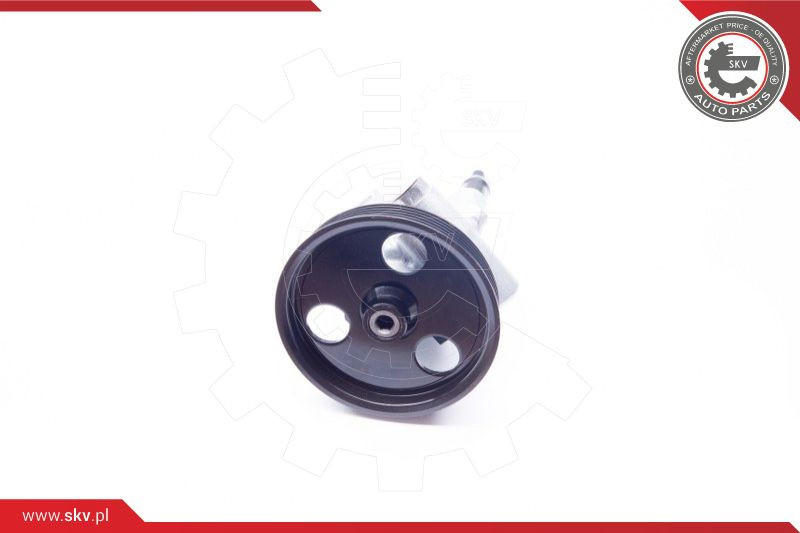 ESEN SKV Hydraulikpumpe, Lenkung