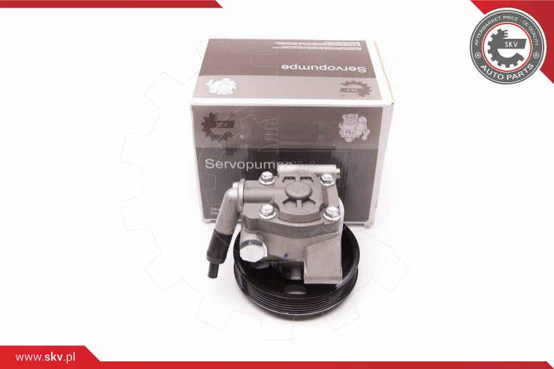 ESEN SKV Hydraulikpumpe, Lenkung