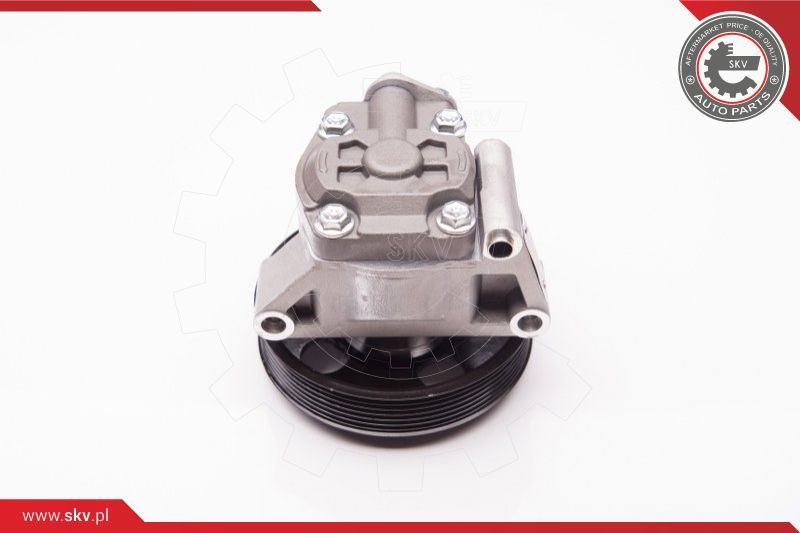 ESEN SKV Hydraulikpumpe, Lenkung