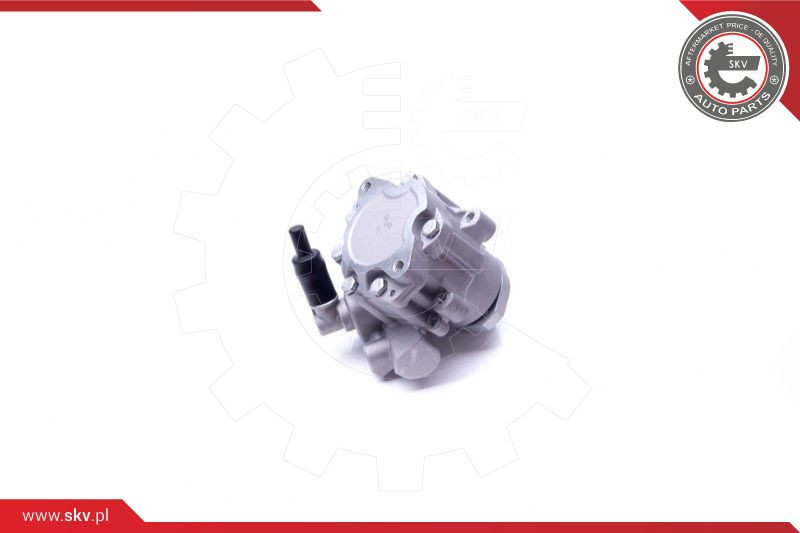 ESEN SKV Hydraulikpumpe, Lenkung