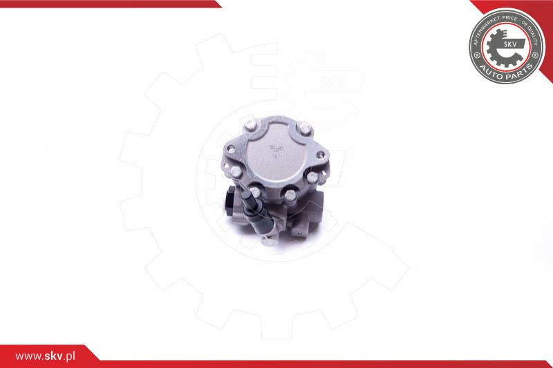 ESEN SKV Hydraulikpumpe, Lenkung