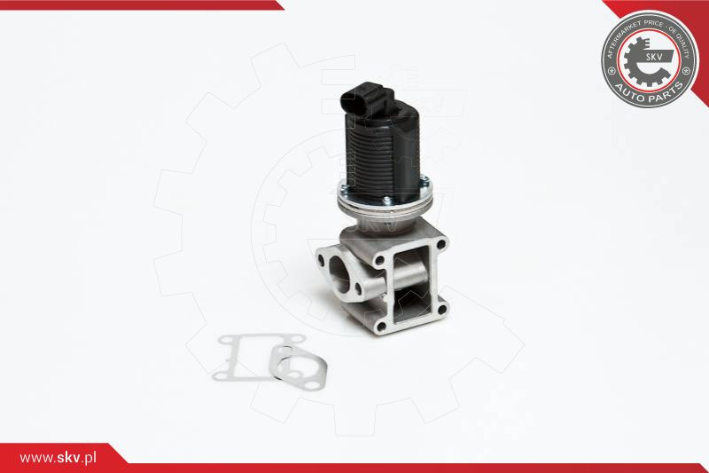 ESEN SKV AGR-Ventil