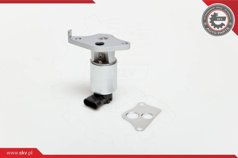 ESEN SKV AGR-Ventil