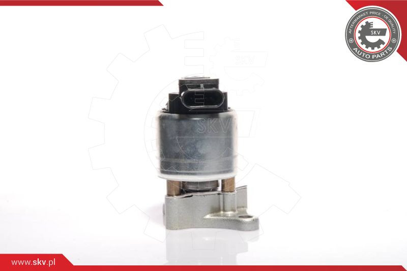 ESEN SKV AGR-Ventil
