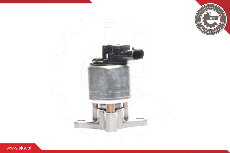 ESEN SKV AGR-Ventil