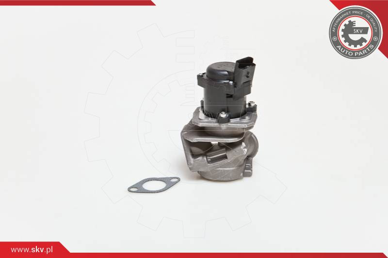 ESEN SKV AGR-Ventil