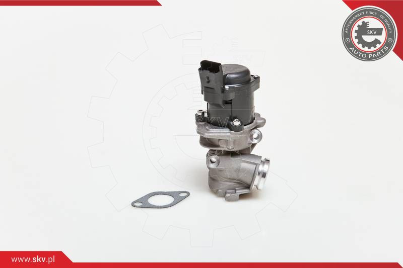 ESEN SKV AGR-Ventil