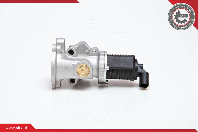 ESEN SKV AGR-Ventil