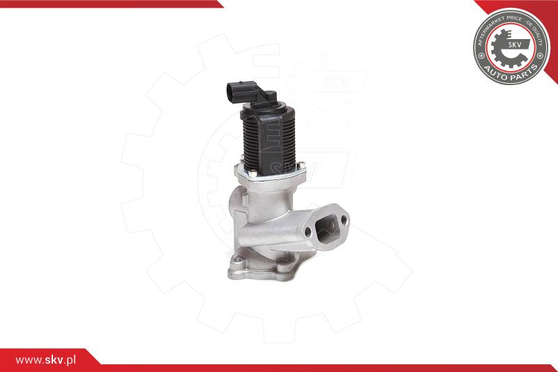 ESEN SKV AGR-Ventil
