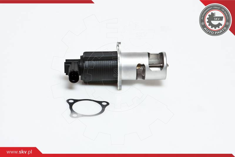 ESEN SKV AGR-Ventil