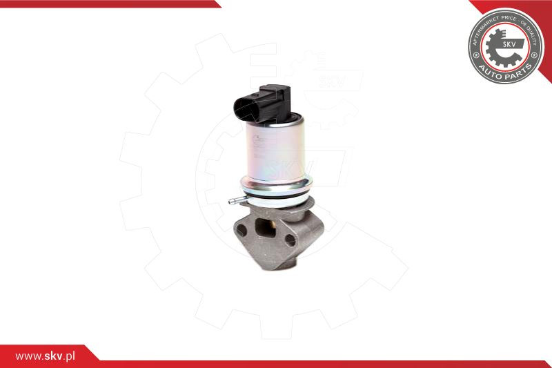 ESEN SKV AGR-Ventil