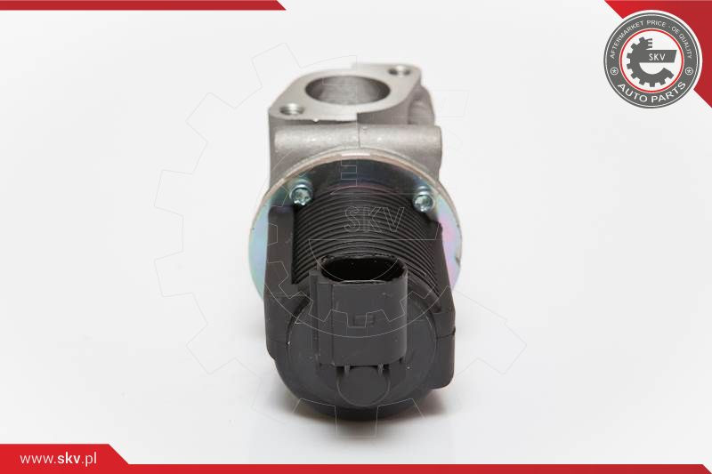 ESEN SKV AGR-Ventil