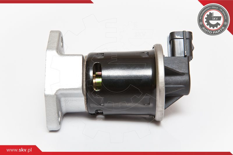 ESEN SKV AGR-Ventil