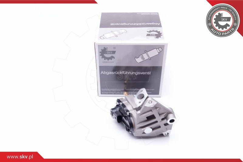 ESEN SKV AGR-Ventil