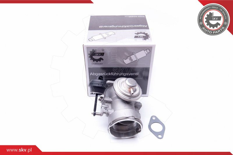 ESEN SKV AGR-Ventil