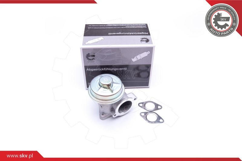 ESEN SKV AGR-Ventil