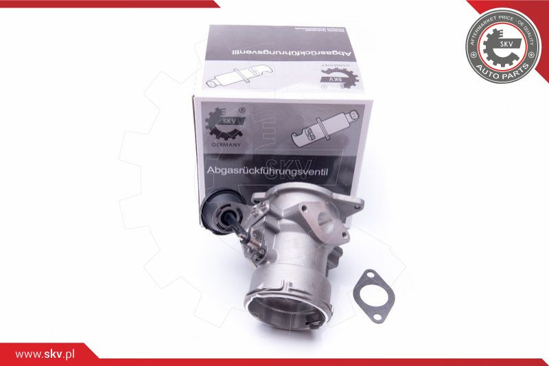 ESEN SKV AGR-Ventil